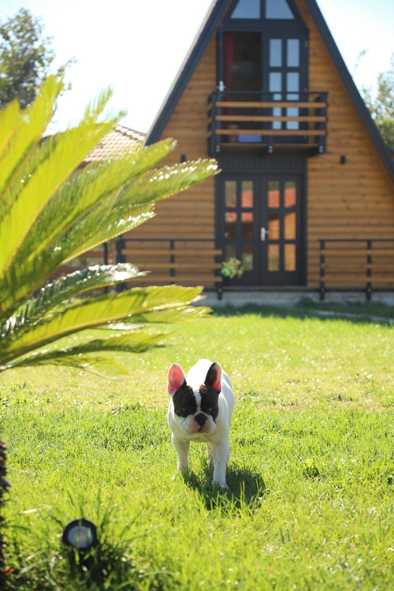 Villa Sancho Farm Albania à Memaliaj Extérieur photo