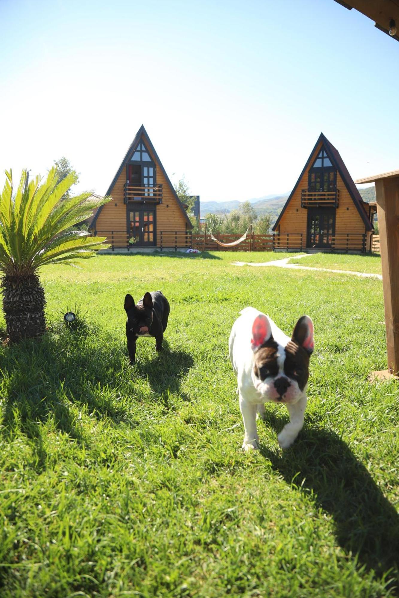 Villa Sancho Farm Albania à Memaliaj Extérieur photo